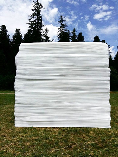 https://www.juliettebuschini.com/files/gimgs/th-19_whitecube.jpg