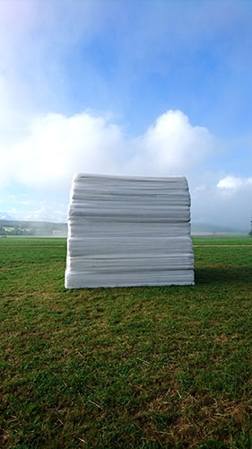 https://www.juliettebuschini.com/files/gimgs/th-19_whitecube3.jpg