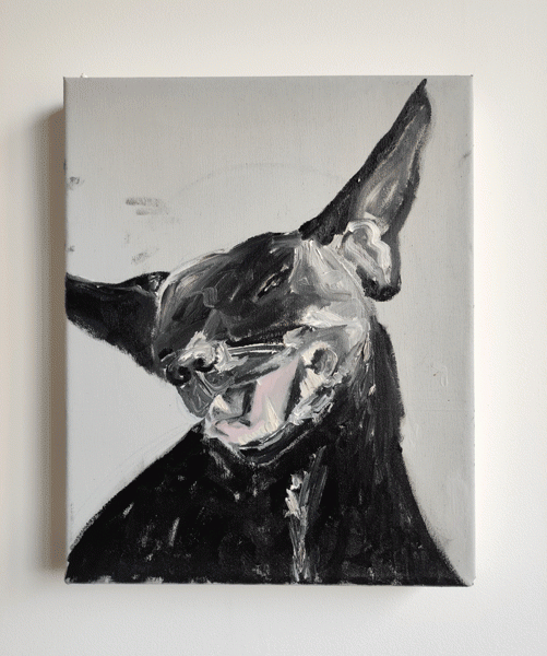 https://www.juliettebuschini.com/files/gimgs/th-64_chiensauvage_v3.gif
