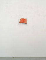 https://www.juliettebuschini.com/files/gimgs/th-10_WEBle-saumon.jpg